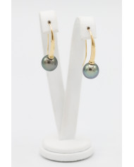 copy of 1 pearl schofer