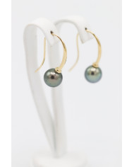 copy of Long sleepers