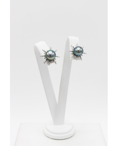 Les soleils d'argent