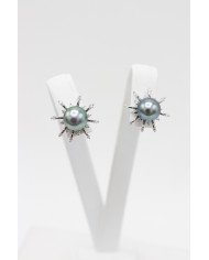 The silver suns