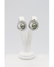 Nid Earrings