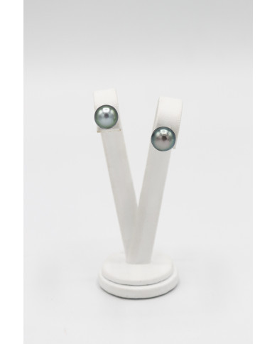 Silver Studs Silver Studs