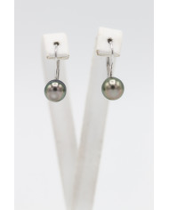 Dormeuses fermées Earrings